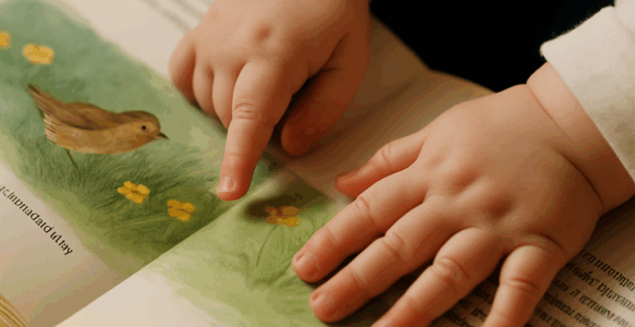 Babyzeichensprache & Bücher: Ein Dream-Team für die Sprachentwicklung