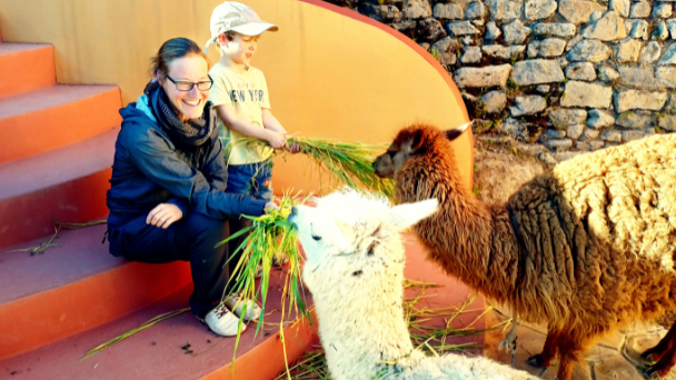 Julia mit Kind füttert Lamas – Symbol für Nähe, Humor und Eltern verstehen Kinder